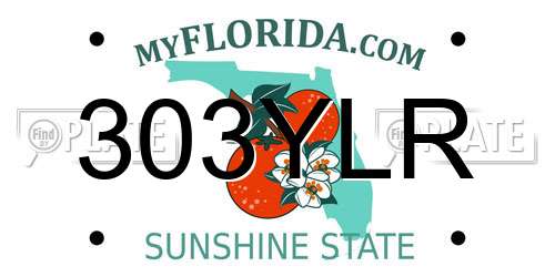 303YLR Florida License Plate