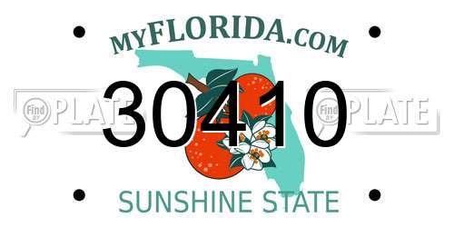30410 Florida License Plate