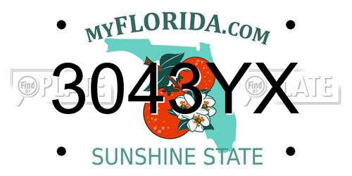 3043YX Florida License Plate