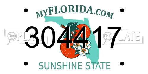 304417 Florida License Plate