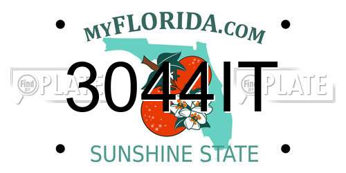 3044IT Florida License Plate