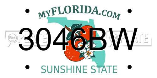 3046BW Florida License Plate