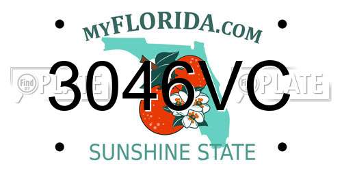 3046VC Florida License Plate