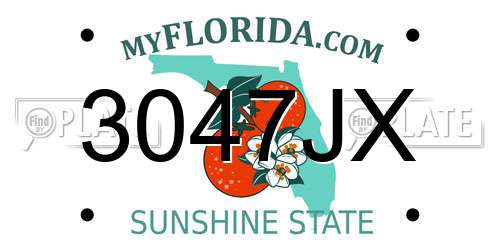 3047JX Florida License Plate