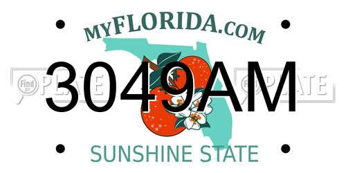 3049AM Florida License Plate