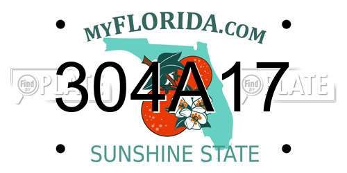304A17 Florida License Plate
