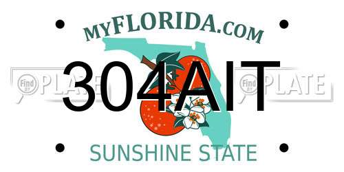 304AIT Florida License Plate