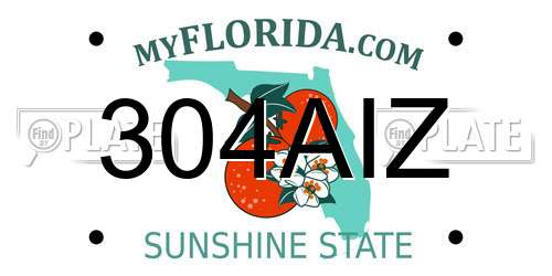 304AIZ Florida License Plate