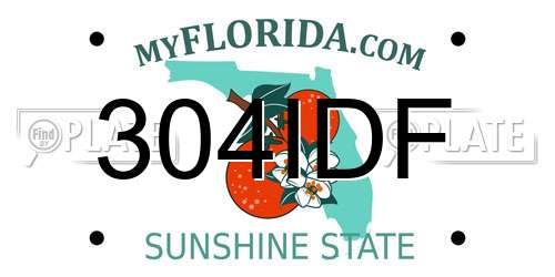 304IDF Florida License Plate