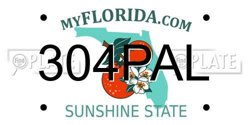 304PAL Florida License Plate