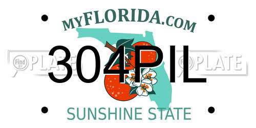 304PIL Florida License Plate