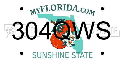 304QWS Florida License Plate