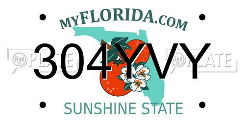 304YVY Florida License Plate