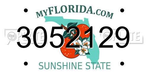 3052129 Florida License Plate