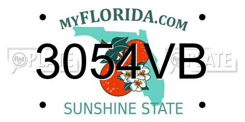 3054VB Florida License Plate