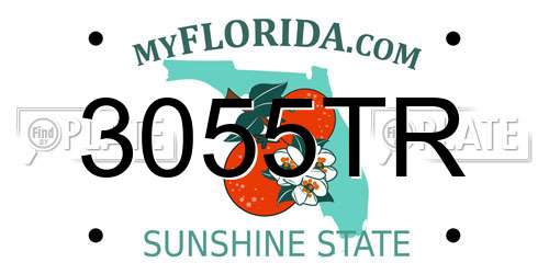 3055TR Florida License Plate