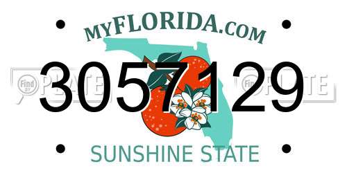 3057129 Florida License Plate
