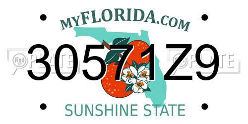 30571Z9 Florida License Plate