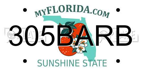 305BARB Florida License Plate