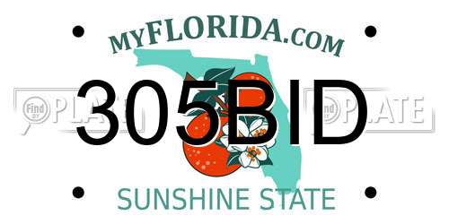 305BID Florida License Plate