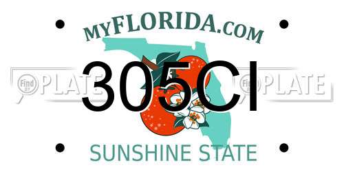 305CI Florida License Plate