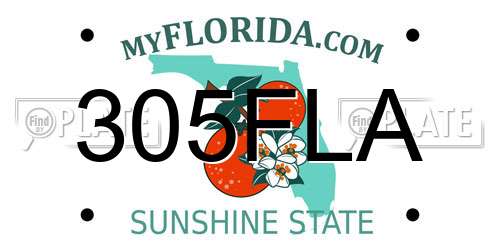 305FLA Florida License Plate