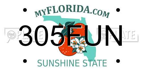 305FUN Florida License Plate