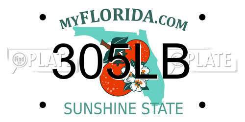 305LB Florida License Plate