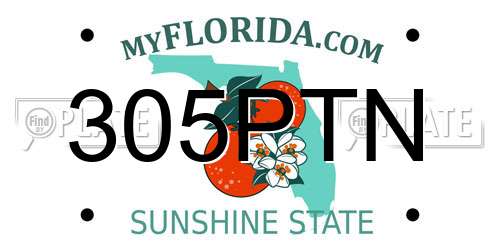 305PTN Florida License Plate