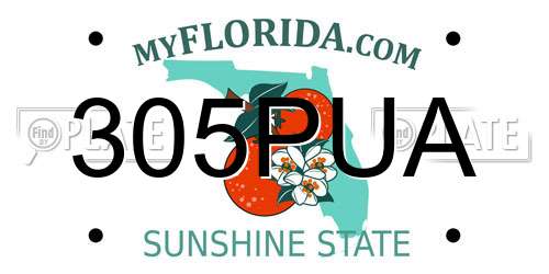 305PUA Florida License Plate