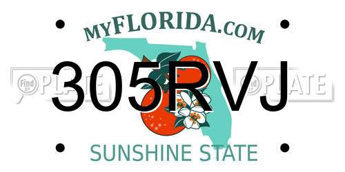 305RVJ Florida License Plate