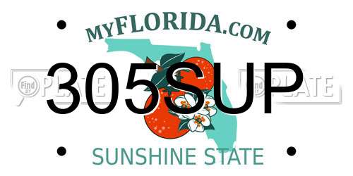 305SUP Florida License Plate