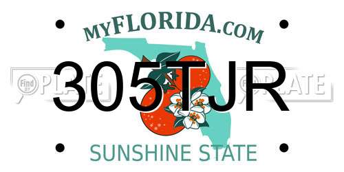 305TJR Florida License Plate