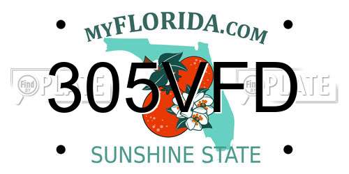 305VFD Florida License Plate