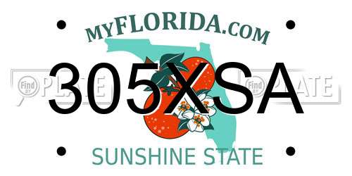 305XSA Florida License Plate