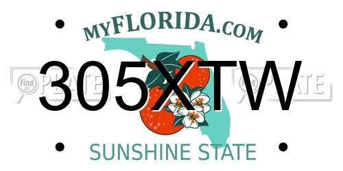 305XTW Florida License Plate