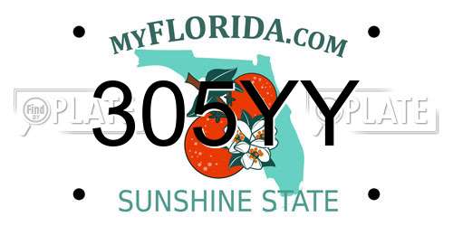 305YY Florida License Plate