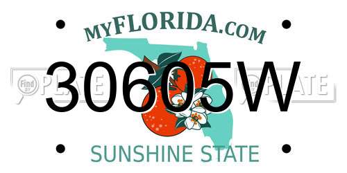 30605W Florida License Plate