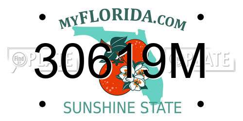 30619M Florida License Plate