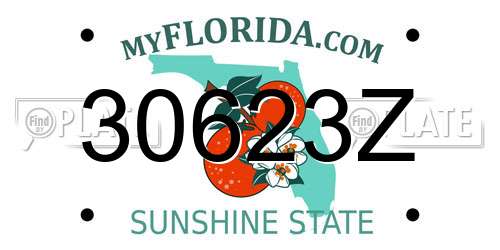 30623Z Florida License Plate