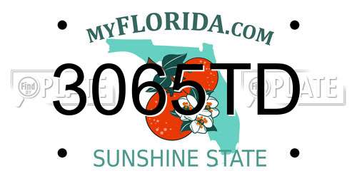 3065TD Florida License Plate