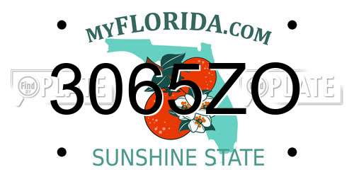 3065ZO Florida License Plate