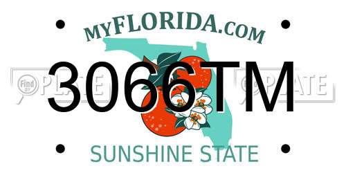 3066TM Florida License Plate