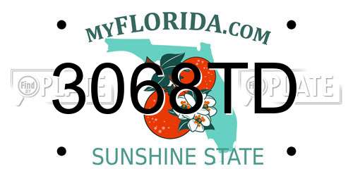 3068TD Florida License Plate