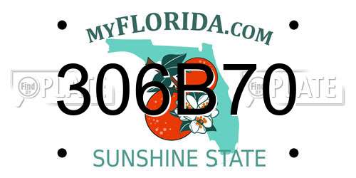 306B70 Florida License Plate