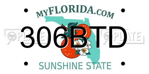 306BTD Florida License Plate