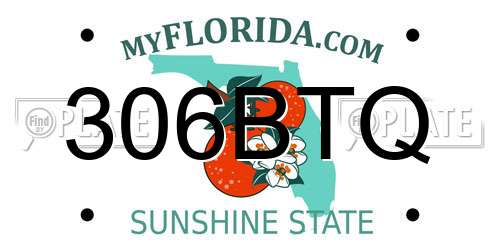 306BTQ Florida License Plate