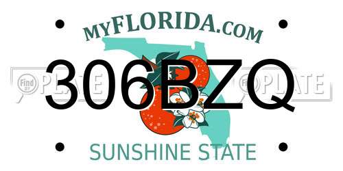 306BZQ Florida License Plate