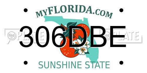 306DBE Florida License Plate