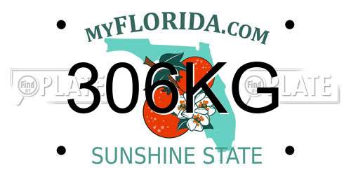 306KG Florida License Plate